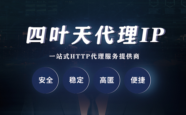 【保亭代理IP】代理ip客户端使用教程