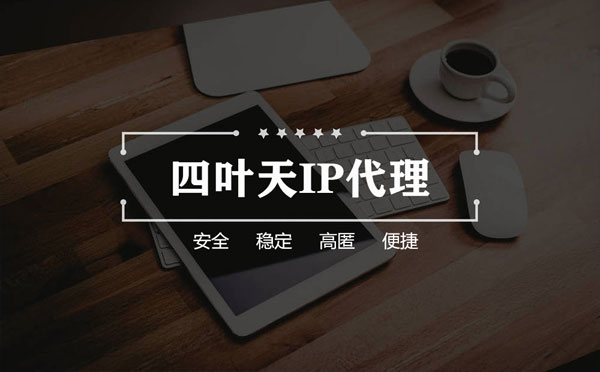 【保亭代理IP】如何快速搭建代理IP？怎么检查代理的效果？